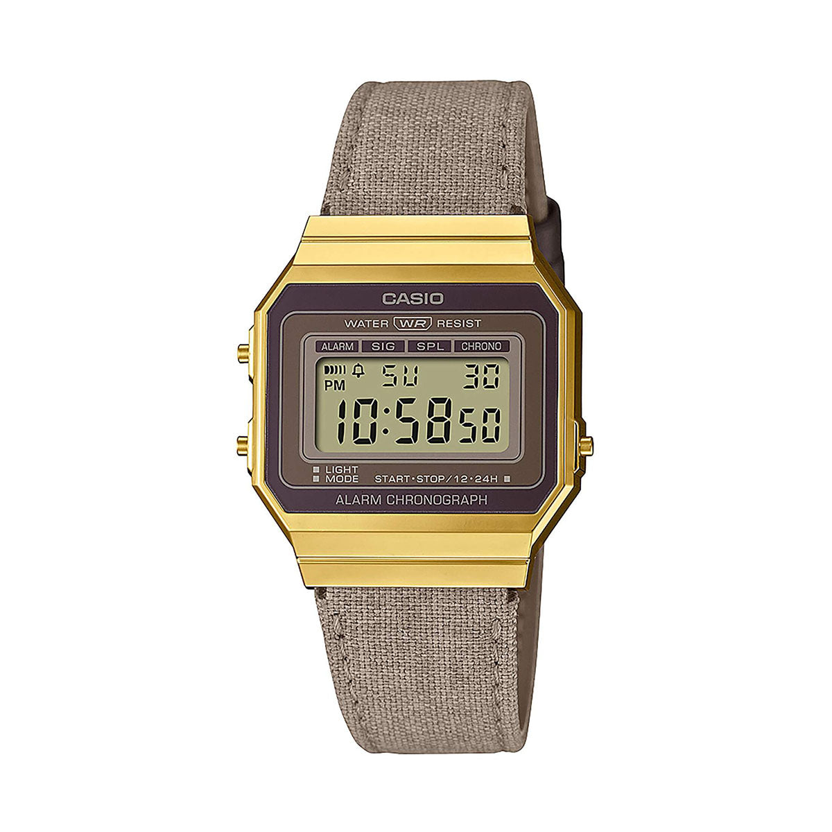 casio