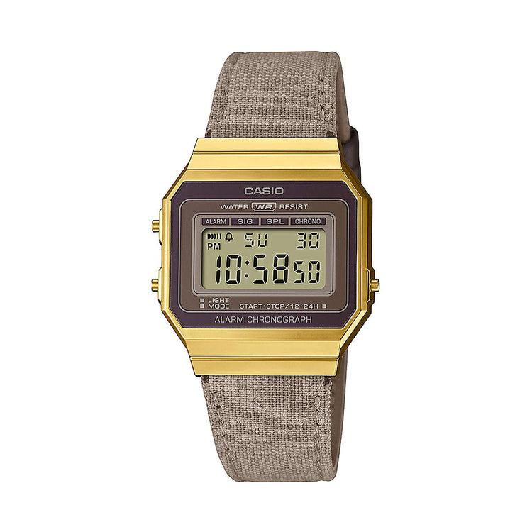 casio