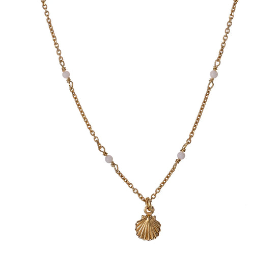SEASHELL SIMPLE