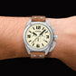 TW STEEL Canteen ανδρικό καφέ ρολόι TW1010
